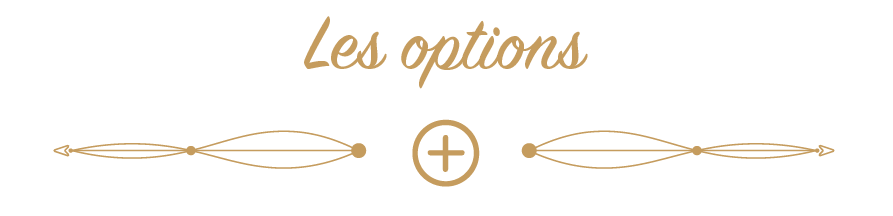 OPTIONS